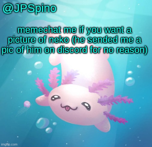 JPSpino's axolotl temp updated | memechat me if you want a picture of neko (he sended me a pic of him on discord for no reason) | image tagged in jpspino's axolotl temp updated | made w/ Imgflip meme maker