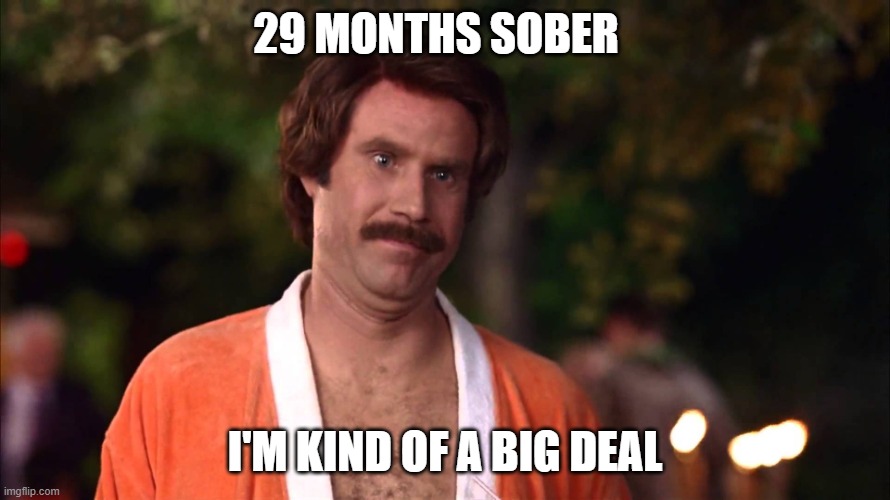 Im kind of a big deal | 29 MONTHS SOBER; I'M KIND OF A BIG DEAL | image tagged in im kind of a big deal | made w/ Imgflip meme maker