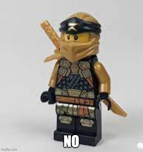 cole lego figure | NO | image tagged in cole lego figure | made w/ Imgflip meme maker
