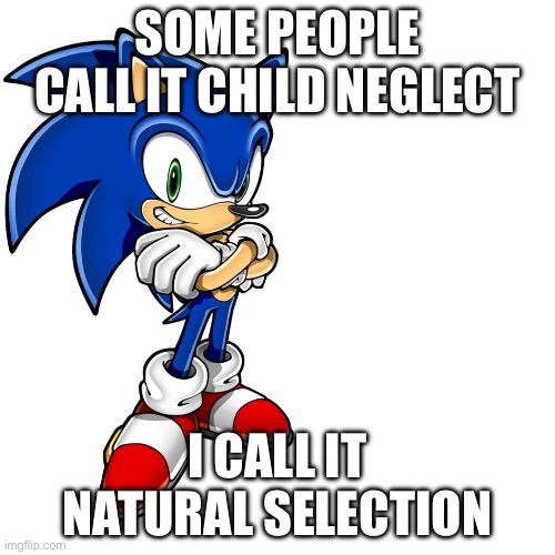 So your honor, I was simply testing Darwin’s theory! Not giving 7 babys knives and making them fight! | SOME PEOPLE CALL IT CHILD NEGLECT; I CALL IT NATURAL SELECTION | image tagged in sonic s decline due to his methamphetamemes addiction | made w/ Imgflip meme maker