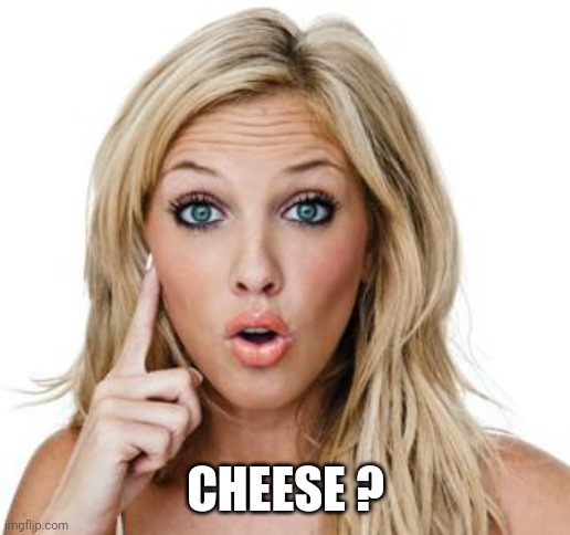 Dumb blonde | CHEESE ? | image tagged in dumb blonde | made w/ Imgflip meme maker