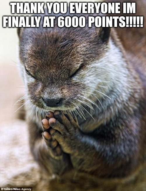 Thank you Lord Otter | THANK YOU EVERYONE IM FINALLY AT 6000 POINTS!!!!! | image tagged in thank you lord otter | made w/ Imgflip meme maker