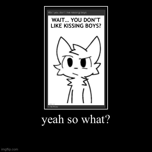 no im not homophobic | yeah so what? | | image tagged in funny,demotivationals | made w/ Imgflip demotivational maker