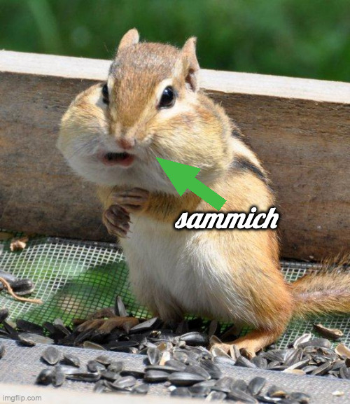 chipmunk | sammich | image tagged in chipmunk | made w/ Imgflip meme maker