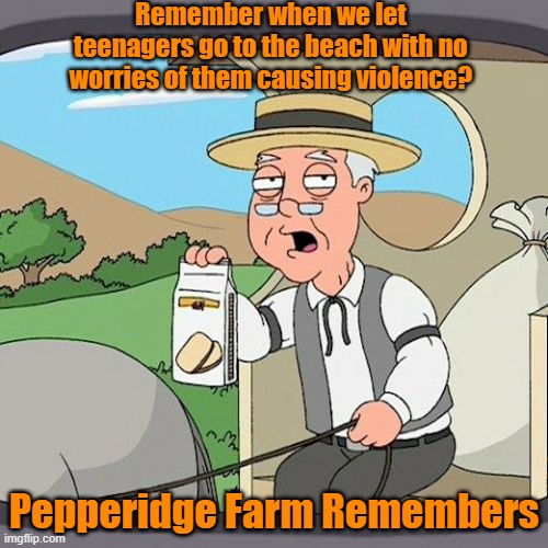 Pepperidge Farm Remembers When Teenage Kids Weren't So Violent | Remember when we let teenagers go to the beach with no worries of them causing violence? Pepperidge Farm Remembers | image tagged in memes,pepperidge farm remembers | made w/ Imgflip meme maker