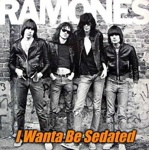 Ramones | I Wanta Be Sedated | image tagged in ramones | made w/ Imgflip meme maker