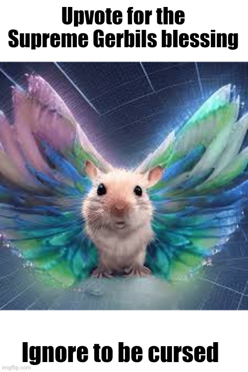 All hail or be cursed | Upvote for the Supreme Gerbils blessing; Ignore to be cursed | image tagged in gerbil | made w/ Imgflip meme maker