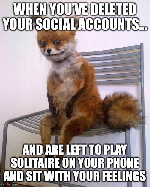 Stoned Fox | WHEN YOU’VE DELETED YOUR SOCIAL ACCOUNTS…; AND ARE LEFT TO PLAY SOLITAIRE ON YOUR PHONE AND SIT WITH YOUR FEELINGS | image tagged in stoned fox | made w/ Imgflip meme maker