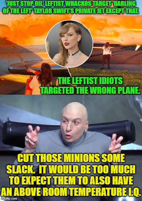 Ever notice that radical leftists are almost universally as dumb as a stump? | 'JUST STOP OIL' LEFTIST WHACKOS TARGET 'DARLING OF THE LEFT' TAYLOR SWIFT'S PRIVATE JET EXCEPT THAT, THE LEFTIST IDIOTS TARGETED THE WRONG PLANE. CUT THOSE MINIONS SOME SLACK.  IT WOULD BE TOO MUCH TO EXPECT THEM TO ALSO HAVE AN ABOVE ROOM TEMPERATURE I.Q. | image tagged in yep | made w/ Imgflip meme maker