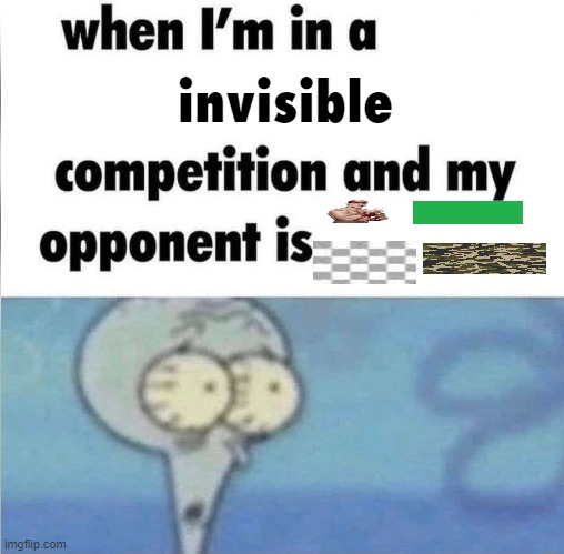me when no one: ☠️ | invisible | made w/ Imgflip meme maker