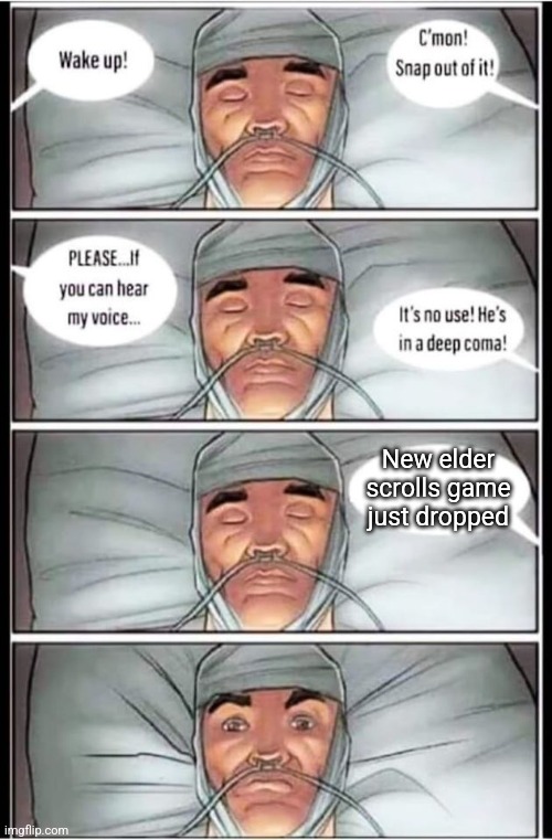 Coma | New elder scrolls game just dropped | image tagged in coma | made w/ Imgflip meme maker
