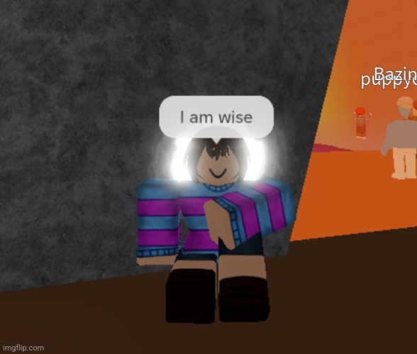 I am wise | image tagged in i am wise | made w/ Imgflip meme maker