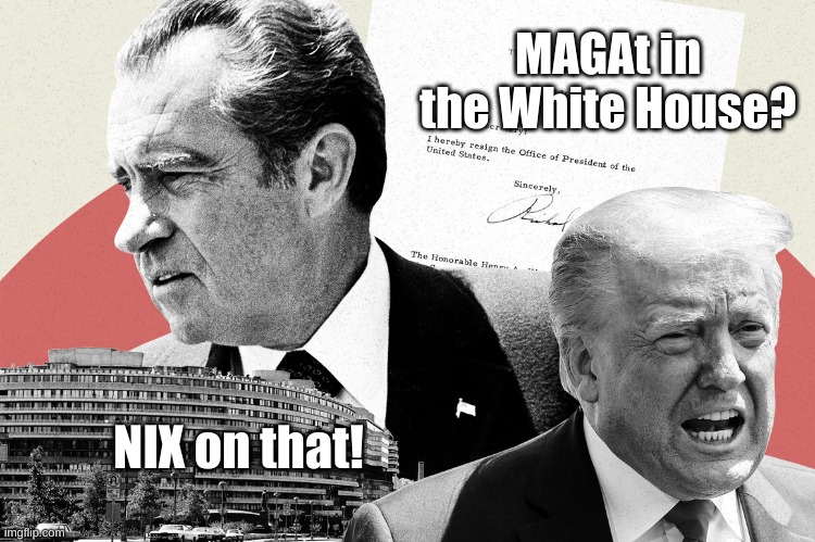 Nix On The Maggot | MAGAt in the White House? NIX on that! | image tagged in trixon,trump,nixon,white house | made w/ Imgflip meme maker