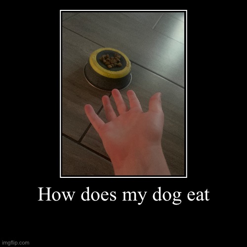 How does my dog eat | | image tagged in funny,demotivationals | made w/ Imgflip demotivational maker