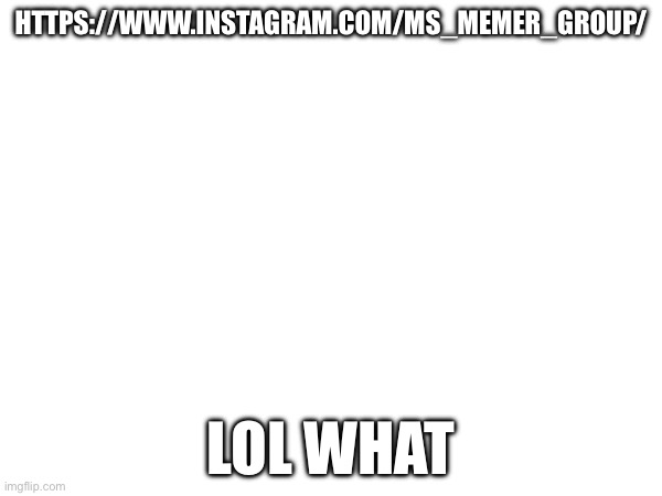 HTTPS://WWW.INSTAGRAM.COM/MS_MEMER_GROUP/; LOL WHAT | made w/ Imgflip meme maker