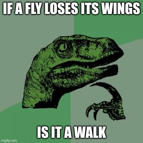 Think about it | IF A FLY LOSES ITS WINGS; IS IT A WALK | image tagged in memes,philosoraptor,fly,walk | made w/ Imgflip meme maker