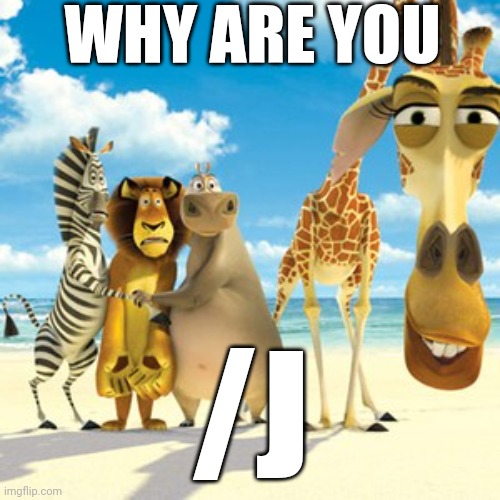 why are you white | WHY ARE YOU /J | image tagged in why are you white | made w/ Imgflip meme maker