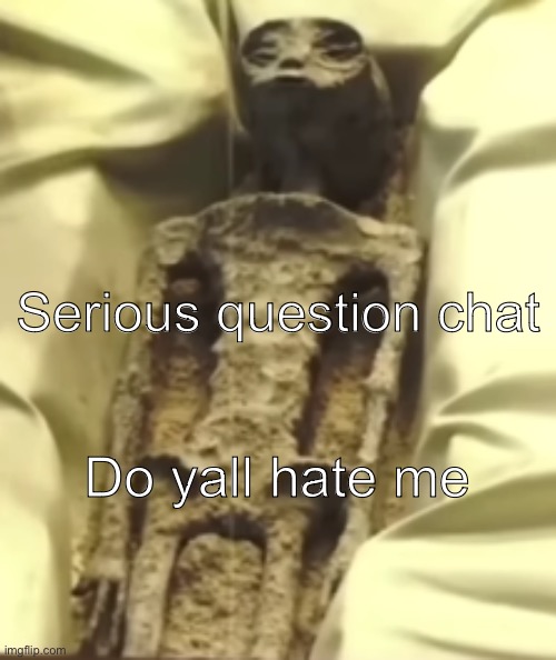 Deadass rn | Serious question chat; Do yall hate me | image tagged in serious post | made w/ Imgflip meme maker