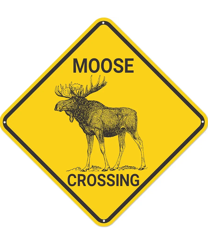 Moose Blank Meme Template