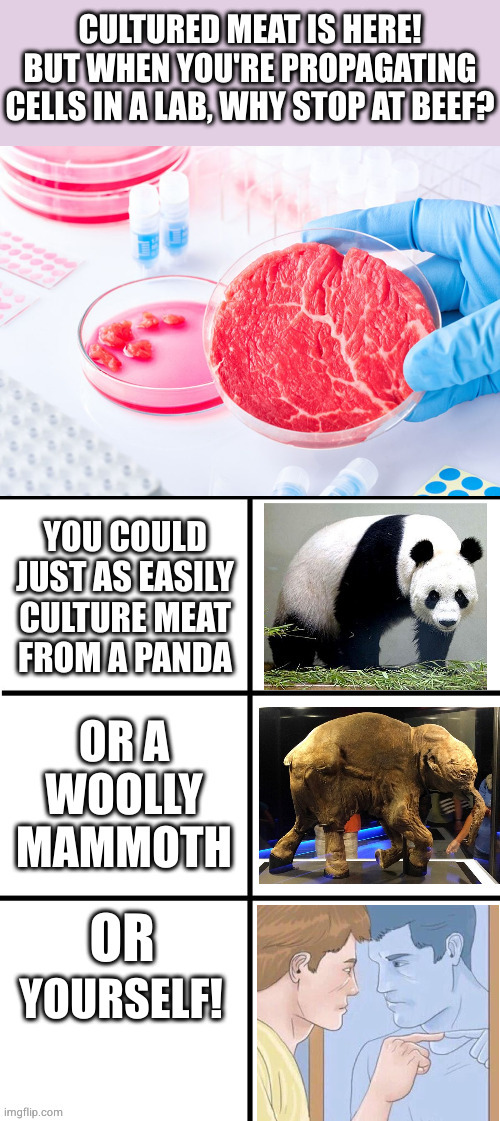 you are what you eat, so eat what you are! | YOURSELF! | image tagged in cultured meat | made w/ Imgflip meme maker