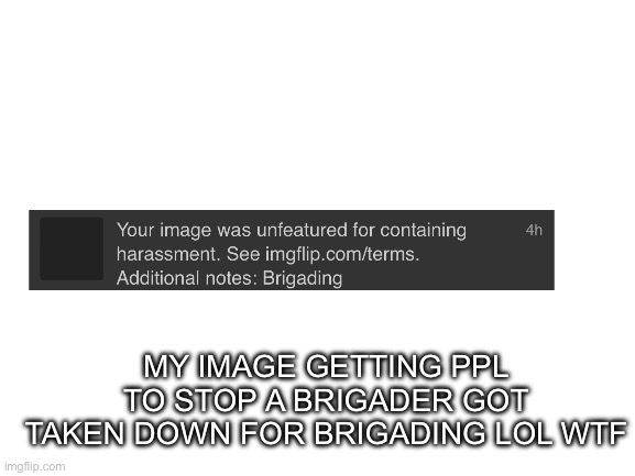 Blank White Template | MY IMAGE GETTING PPL TO STOP A BRIGADER GOT TAKEN DOWN FOR BRIGADING LOL WTF | image tagged in blank white template | made w/ Imgflip meme maker