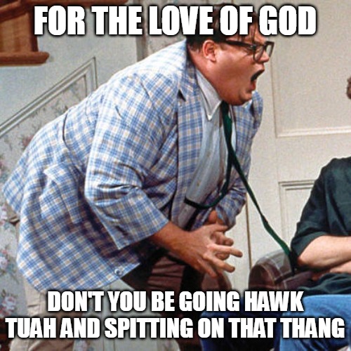 Chris Farley For the love of god | FOR THE LOVE OF GOD; DON'T YOU BE GOING HAWK TUAH AND SPITTING ON THAT THANG | image tagged in chris farley for the love of god,meme,memes,hawk tuah girl | made w/ Imgflip meme maker