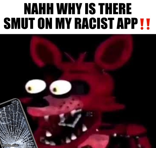 foxy | NAHH WHY IS THERE SMUT ON MY RACIST APP‼️ | image tagged in foxy | made w/ Imgflip meme maker