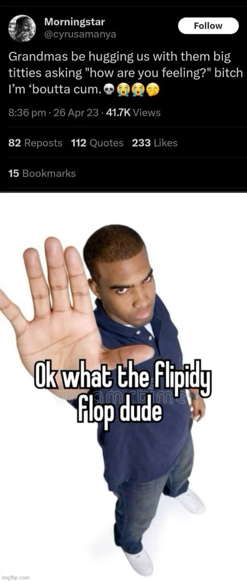 image tagged in okay what the flipidy flop dude | made w/ Imgflip meme maker