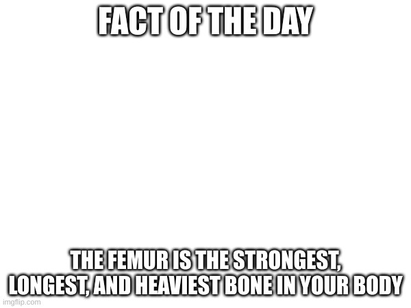 Just some fact | FACT OF THE DAY; THE FEMUR IS THE STRONGEST, LONGEST, AND HEAVIEST BONE IN YOUR BODY | image tagged in bones,strength,body,facts | made w/ Imgflip meme maker