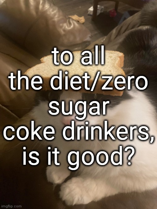 bread cat | to all the diet/zero sugar coke drinkers, is it good? | image tagged in bread cat | made w/ Imgflip meme maker