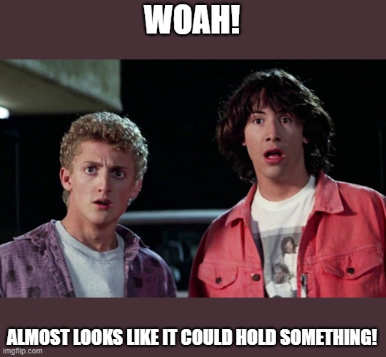 Bill and Ted Woah | WOAH! ALMOST LOOKS LIKE IT COULD HOLD SOMETHING! | image tagged in bill and ted woah | made w/ Imgflip meme maker
