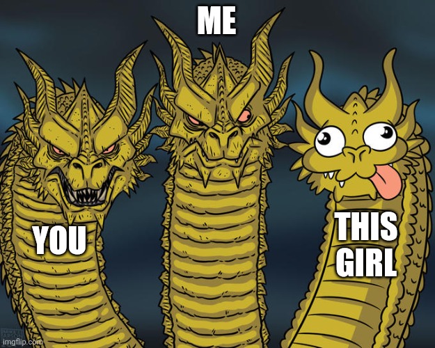 Three-headed Dragon | ME YOU THIS GIRL | image tagged in three-headed dragon | made w/ Imgflip meme maker