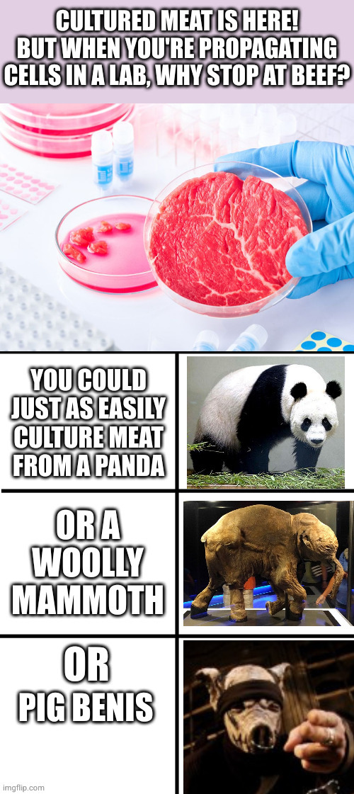 or you could just eat his mushroomhead | PIG BENIS | image tagged in cultured meat | made w/ Imgflip meme maker