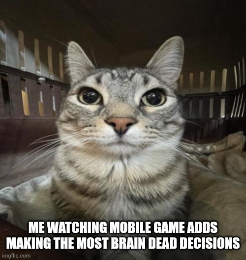 Zazu Staring | ME WATCHING MOBILE GAME ADDS MAKING THE MOST BRAIN DEAD DECISIONS | image tagged in zazu staring | made w/ Imgflip meme maker