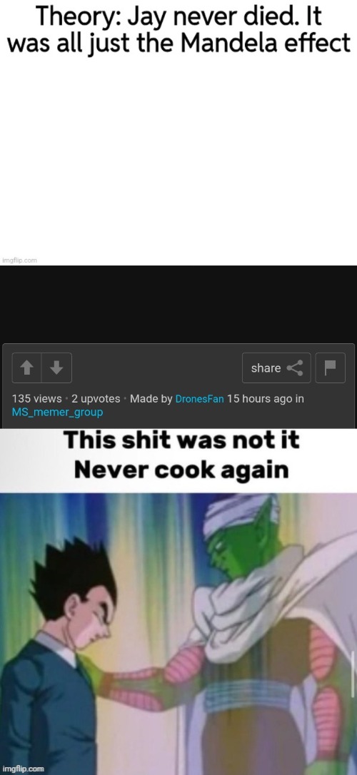 Worst fucking theory i have ever fucking heard. You dont even know what the mandela effect is | image tagged in this shit was not it never cook again | made w/ Imgflip meme maker