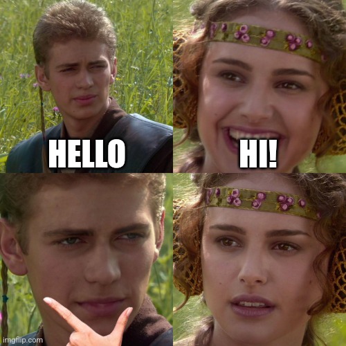 Bro got rizzed | HELLO; HI! | image tagged in anakin padme 4 panel,rizz | made w/ Imgflip meme maker