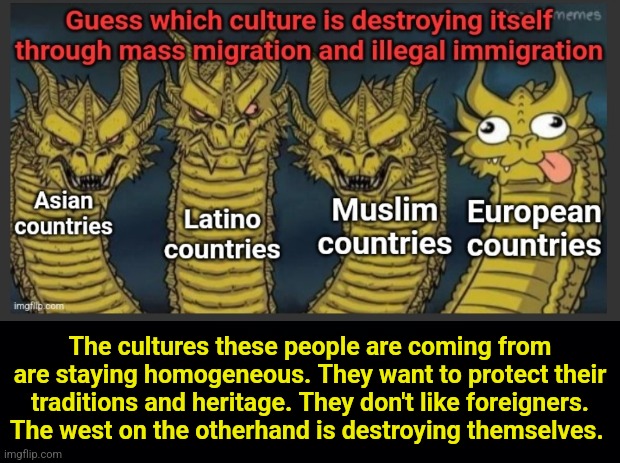 Rome is falling and everyone will suffer | The cultures these people are coming from are staying homogeneous. They want to protect their traditions and heritage. They don't like foreigners. The west on the otherhand is destroying themselves. | image tagged in diversity,illegal immigration,migrants,europe,usa,heritage | made w/ Imgflip meme maker