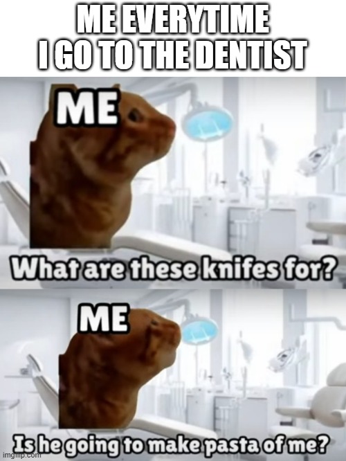 credits to TheRaccoon from youtube | ME EVERYTIME I GO TO THE DENTIST | image tagged in cats,memes,funny,dentist,doctor | made w/ Imgflip meme maker