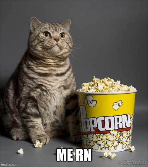 Cat eating popcorn | ME RN | image tagged in cat eating popcorn | made w/ Imgflip meme maker