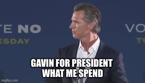 Gavin | GAVIN FOR PRESIDENT 
WHAT ME SPEND | image tagged in gifs,memes,funny,pie charts | made w/ Imgflip images-to-gif maker