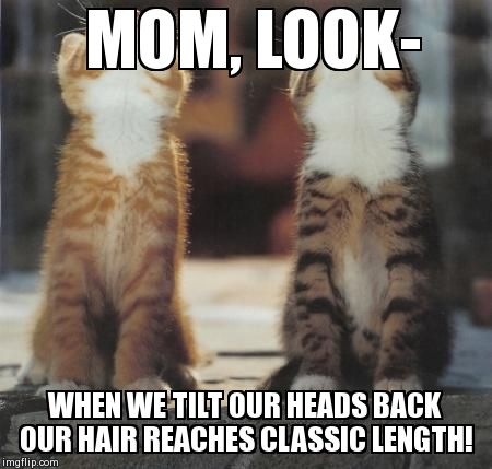 cats looking up | MOM, LOOK- WHEN WE TILT OUR HEADS BACK OUR HAIR REACHES CLASSIC LENGTH! | image tagged in cats looking up | made w/ Imgflip meme maker