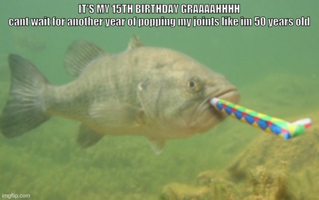 bass with a party blower | IT'S MY 15TH BIRTHDAY GRAAAAHHHH
cant wait for another year of popping my joints like im 50 years old | image tagged in bass with a party blower | made w/ Imgflip meme maker