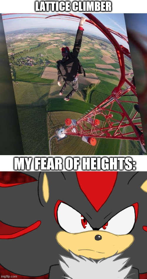 lattice climber | LATTICE CLIMBER; MY FEAR OF HEIGHTS: | image tagged in shadow the hedgehog,sonic the hedgehog,lattice climbing,meme,sport,tower | made w/ Imgflip meme maker