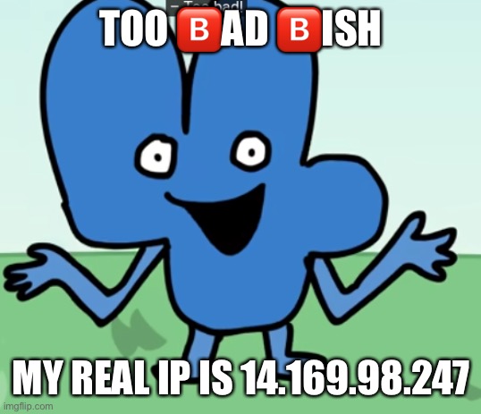 Four "Too Bad" | TOO ?️AD ?️ISH MY REAL IP IS 14.169.98.247 | image tagged in four too bad | made w/ Imgflip meme maker