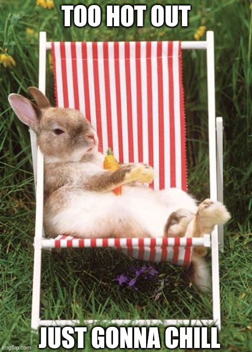 CHILL | TOO HOT OUT; JUST GONNA CHILL | image tagged in bunny,rabbit | made w/ Imgflip meme maker