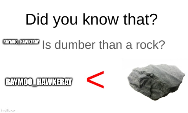 Did you know that (blank) is dumber than a rock? | RAYMOO_HAWKERAY; RAYMOO_HAWKERAY | image tagged in did you know that blank is dumber than a rock | made w/ Imgflip meme maker