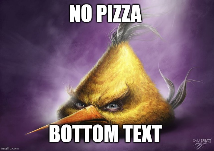 Realistic yellow angry bird | NO PIZZA; BOTTOM TEXT | image tagged in realistic yellow angry bird | made w/ Imgflip meme maker