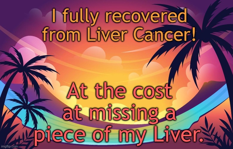 Trez (Summer) | I fully recovered from Liver Cancer! At the cost at missing a piece of my Liver. | image tagged in trez summer | made w/ Imgflip meme maker