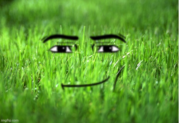 grass is greener | image tagged in grass is greener | made w/ Imgflip meme maker