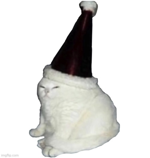 Party Hat Cat | image tagged in party hat cat | made w/ Imgflip meme maker